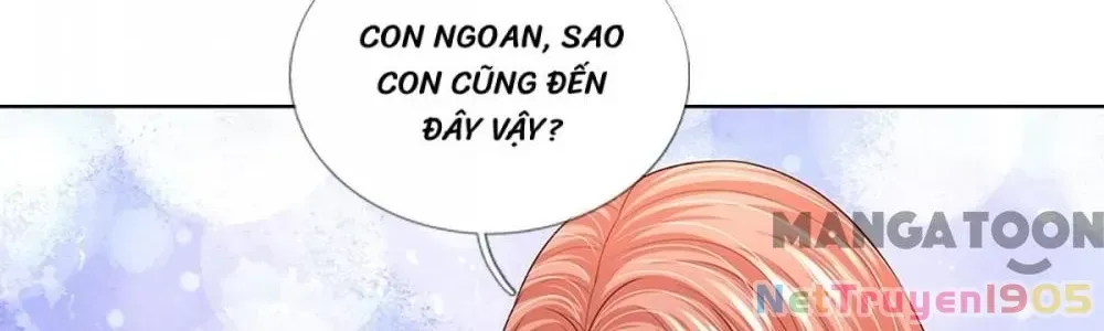 Mami Mau Chạy - Daddy Đuổi Tới Rồi Chap 426 - Next Chap 427