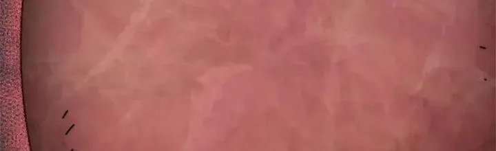 Mạt Thế Đạo Tặc Hành Chap 135 - Next Chap 136
