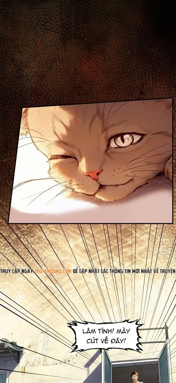 Mạt Thế Nắng Nóng: Ta Dựa Vào Nhà An Toàn Trở Thành Thần Minh Chap 28 - Next Chap 29