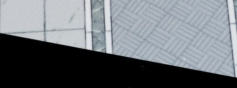 Mạt Thế: Nhân Hoàng Phiên Mời Chư Vị Nữ Đồ Đệ Nhập Tọa Chap 60 - Next Chap 61