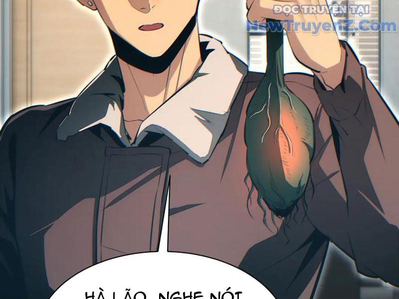 Mạt Thế Trọng Sinh: Ta Quay Gacha Làm Trùm! Chap 50 - Next Chap 51