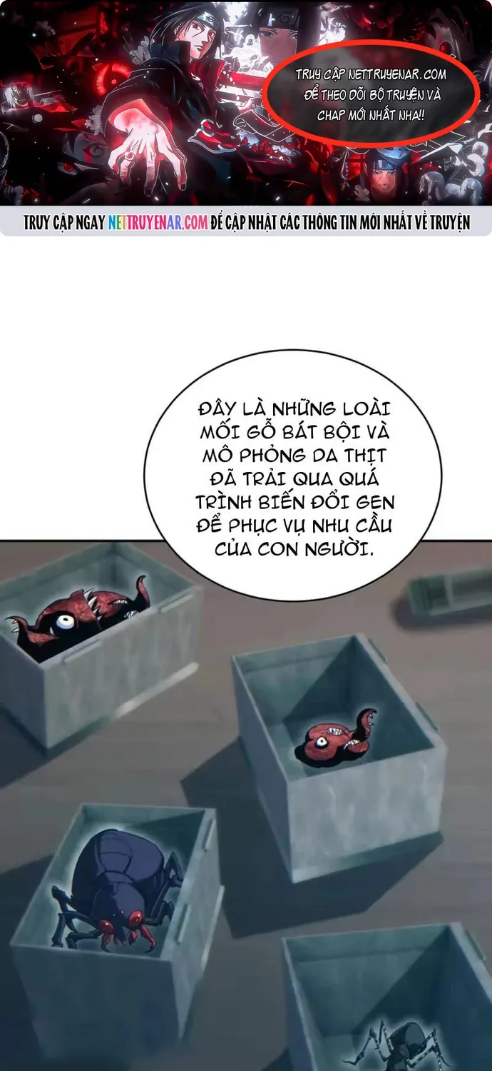 Mạt Thế Trùng Sinh: Ta Dựa Vào Mở Rương Vấn Dỉnh Đỉnh Phong Chap 97 - Next Chap 98