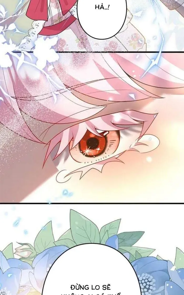 Mẹ Đơn Thân Và Nổi Ám Ảnh Của Thái Tử Chap 23 - Next Chap 24