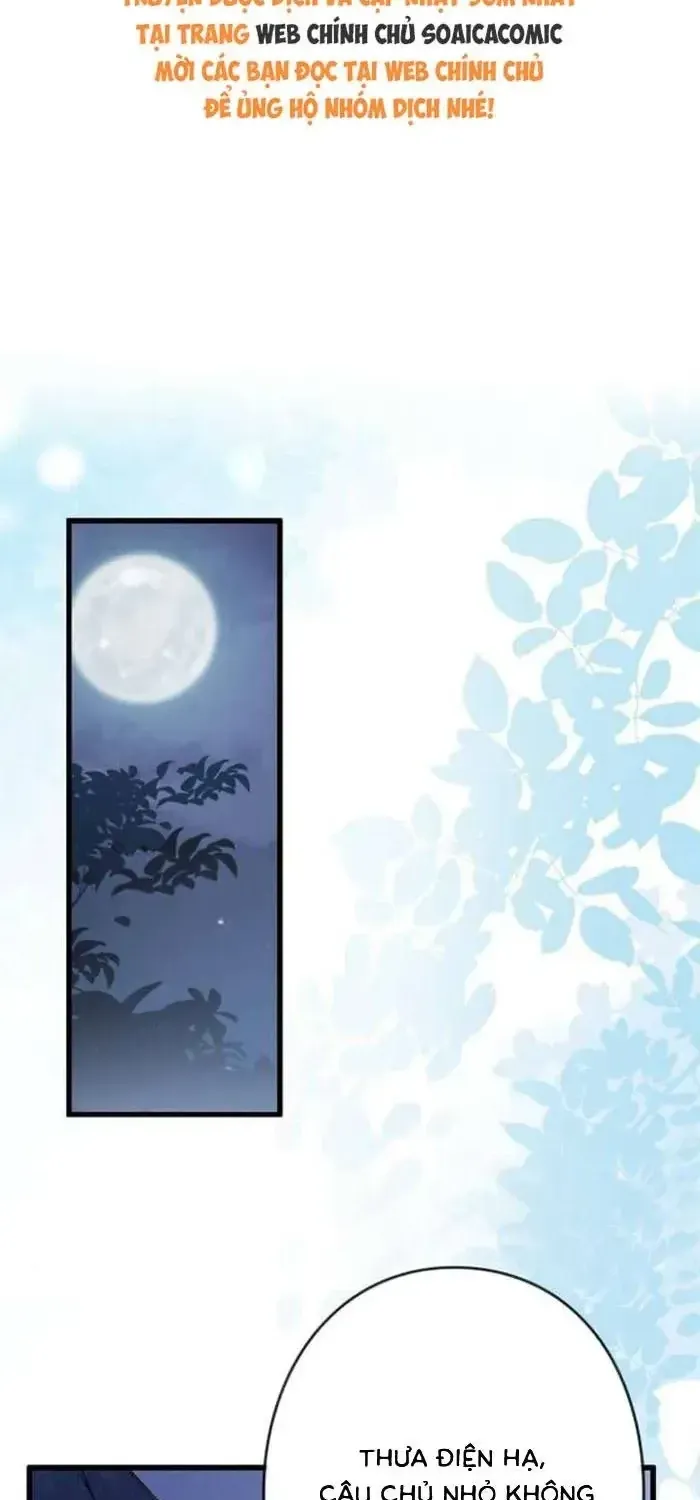 Mẹ Đơn Thân Và Nổi Ám Ảnh Của Thái Tử Chap 24 - Next Chap 25