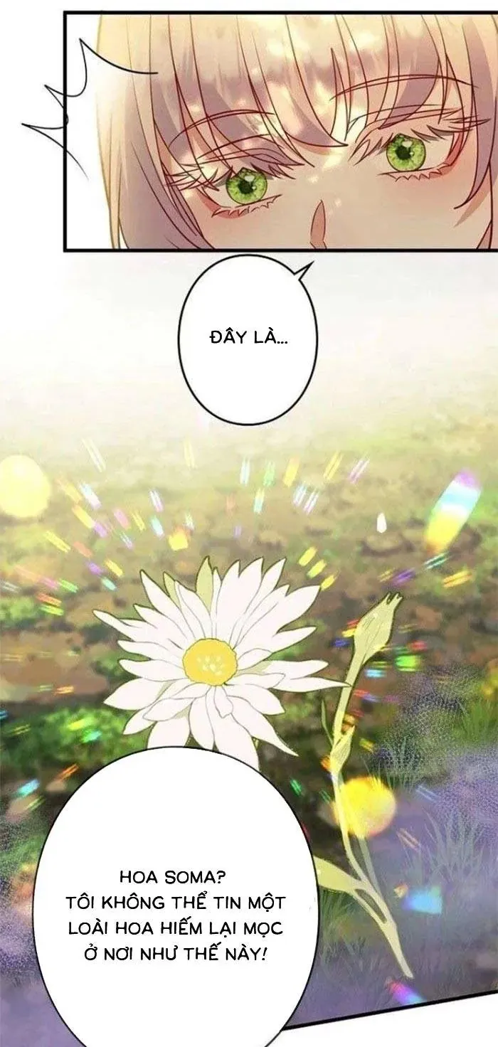 Mẹ Đơn Thân Và Nổi Ám Ảnh Của Thái Tử Chap 27 - Next Chap 28