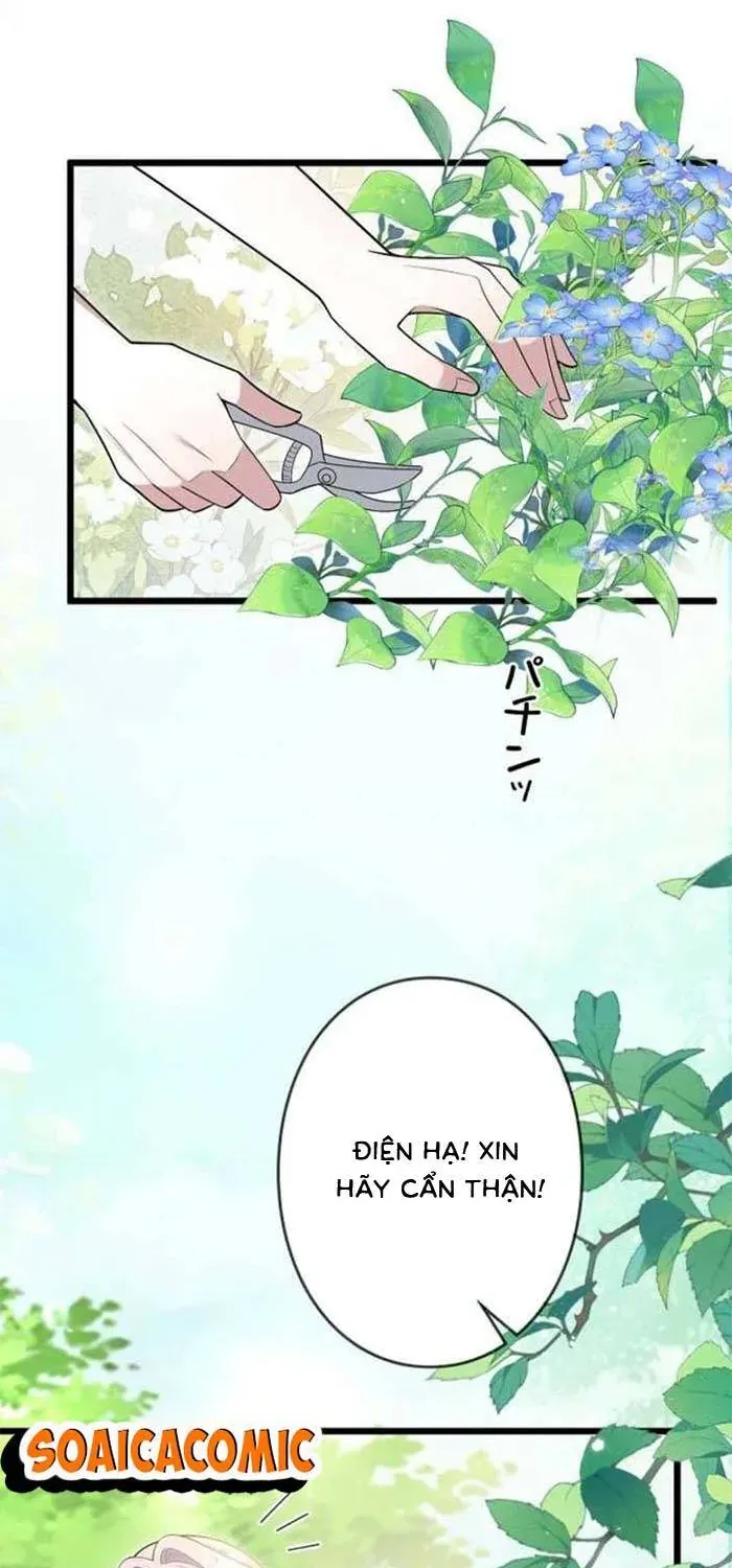 Mẹ Đơn Thân Và Nổi Ám Ảnh Của Thái Tử Chap 35 - Next Chap 36