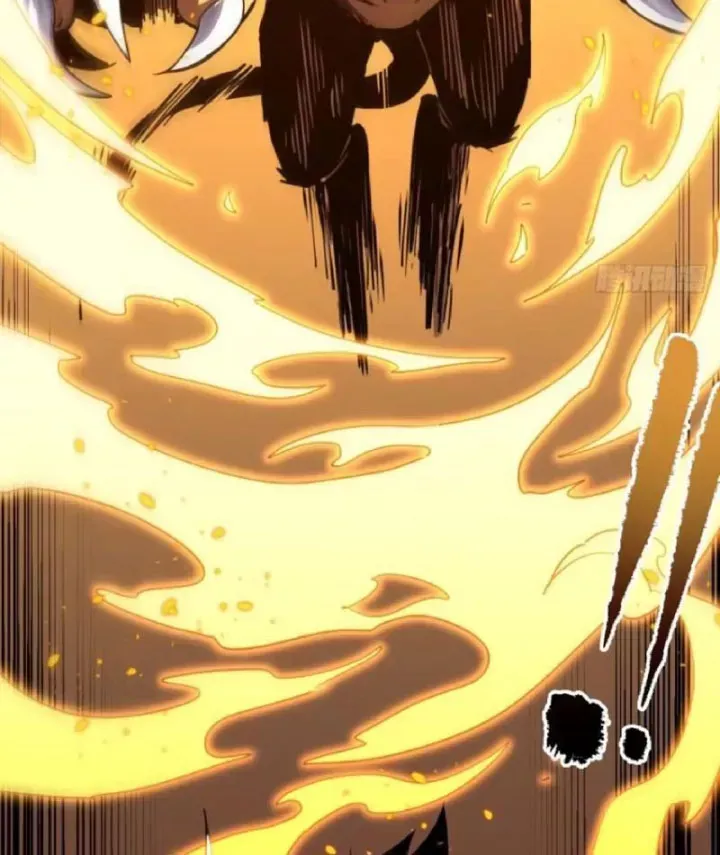 Mệnh Luân Chi Chủ! Khi Dị Biến Giáng Lâm Nhân Gian! Chap 205 - Next Chap 206