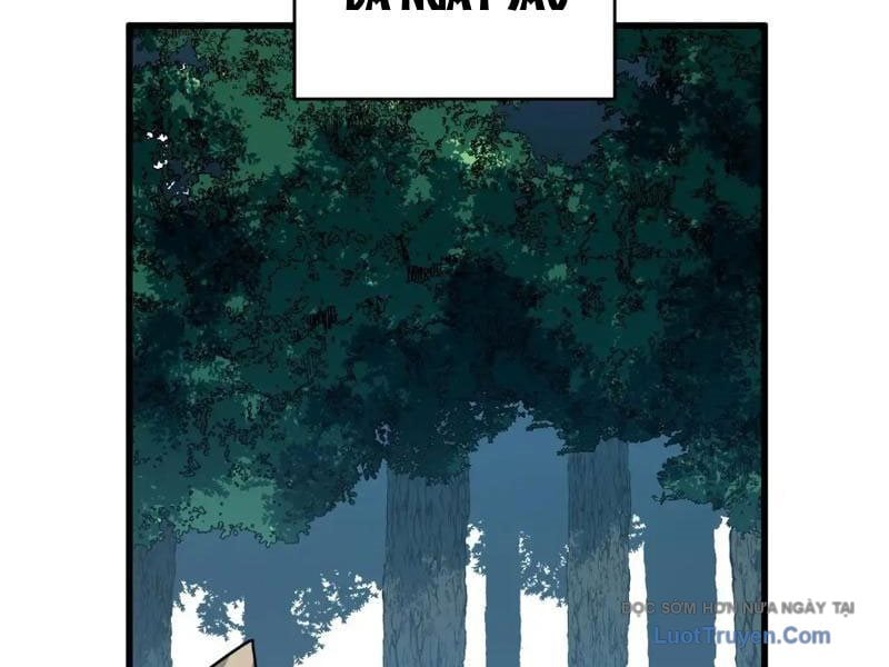 Mệnh Luân Chi Chủ! Làm Kẻ Biến Dị Giáng Xuống Nhân Gian Chap 174 - Next Chap 175