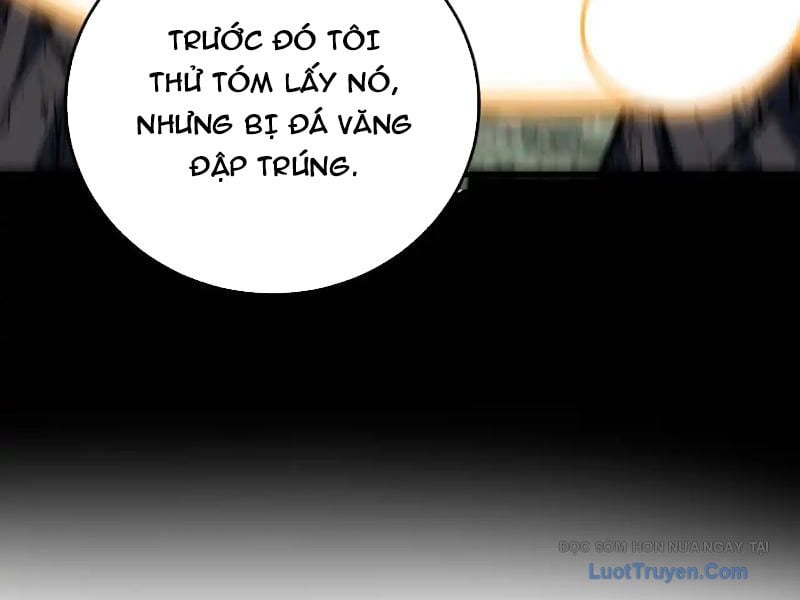 Mệnh Luân Chi Chủ! Làm Kẻ Biến Dị Giáng Xuống Nhân Gian Chap 174 - Next Chap 175