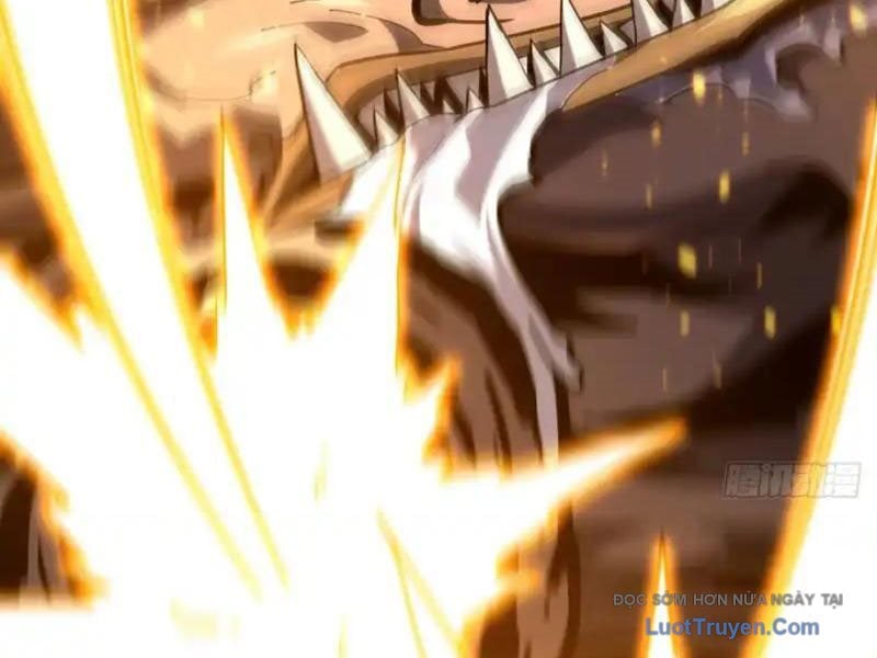 Mệnh Luân Chi Chủ! Làm Kẻ Biến Dị Giáng Xuống Nhân Gian Chap 177 - Next Chap 178