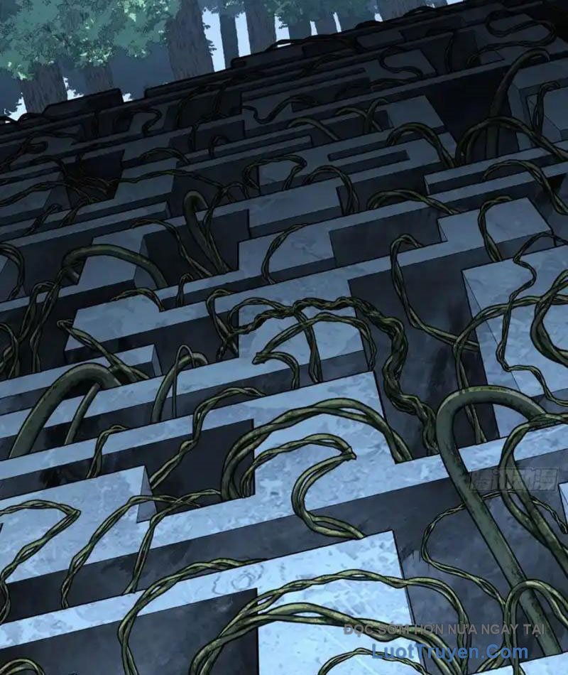 Mệnh Luân Chi Chủ! Làm Kẻ Biến Dị Giáng Xuống Nhân Gian Chap 182 - Next Chap 183