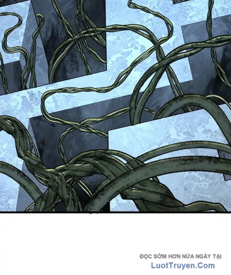 Mệnh Luân Chi Chủ! Làm Kẻ Biến Dị Giáng Xuống Nhân Gian Chap 182 - Next Chap 183