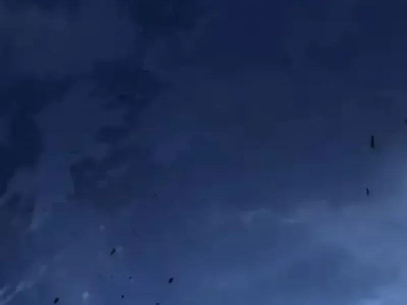 Mệnh Luân Chi Chủ! Làm Kẻ Biến Dị Giáng Xuống Nhân Gian Chap 216 - Next Chap 217