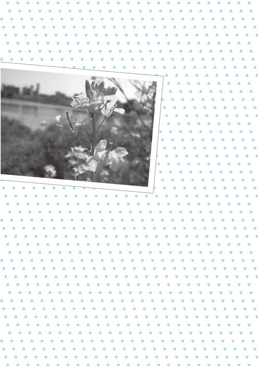 Mikako-San Chap 24 - Next Chap 25