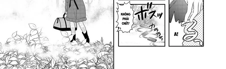 Mikakunin De Shinkoukei Chap 119 - Next Chap 120