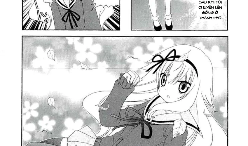 Mikakunin De Shinkoukei Chap 35 - Next Chap 36