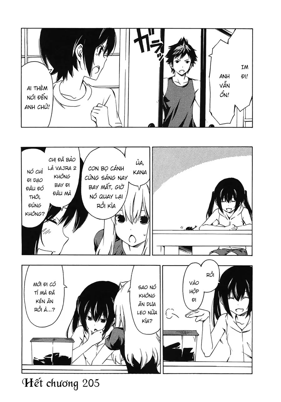 Minami-Ke Chap 205 - Next Chap 206