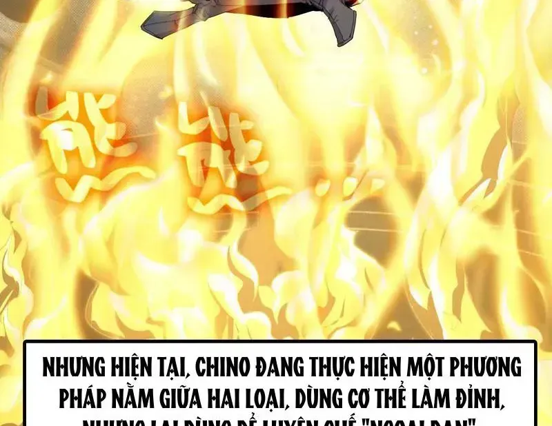Mình Ta Tu Tiên Chap 12 - Next Chap 13