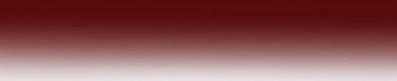 Mình Tao Là Siêu Việt Giả Mạnh Nhất! Chap 15 - Next Chap 16