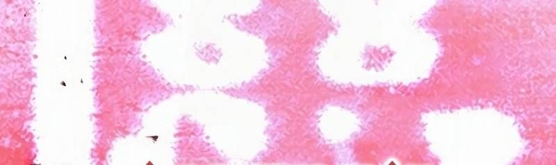 Mình Tao Là Siêu Việt Giả Mạnh Nhất! Chap 16 - Next Chap 17