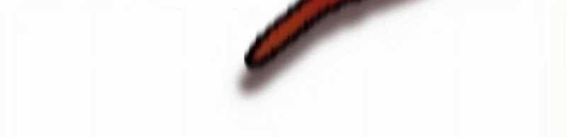 Mình Tao Là Siêu Việt Giả Mạnh Nhất! Chap 17 - Next Chap 18