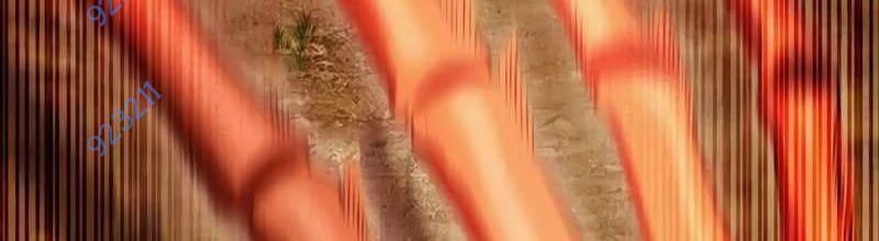 Mình Tao Là Siêu Việt Giả Mạnh Nhất! Chap 17 - Next Chap 18