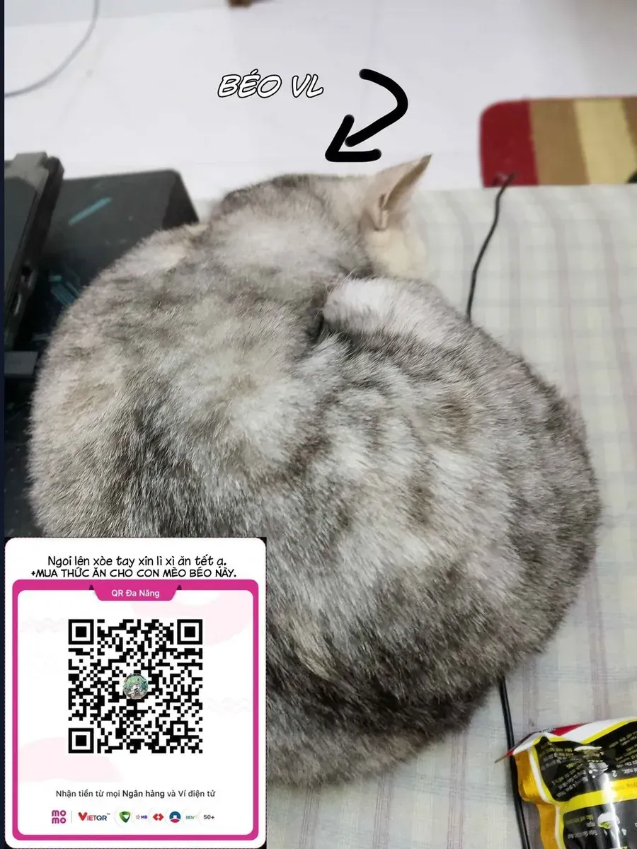 Misaki-Kun Wa Kouryaku Chara Janai Chap 29 - Next Chap 30