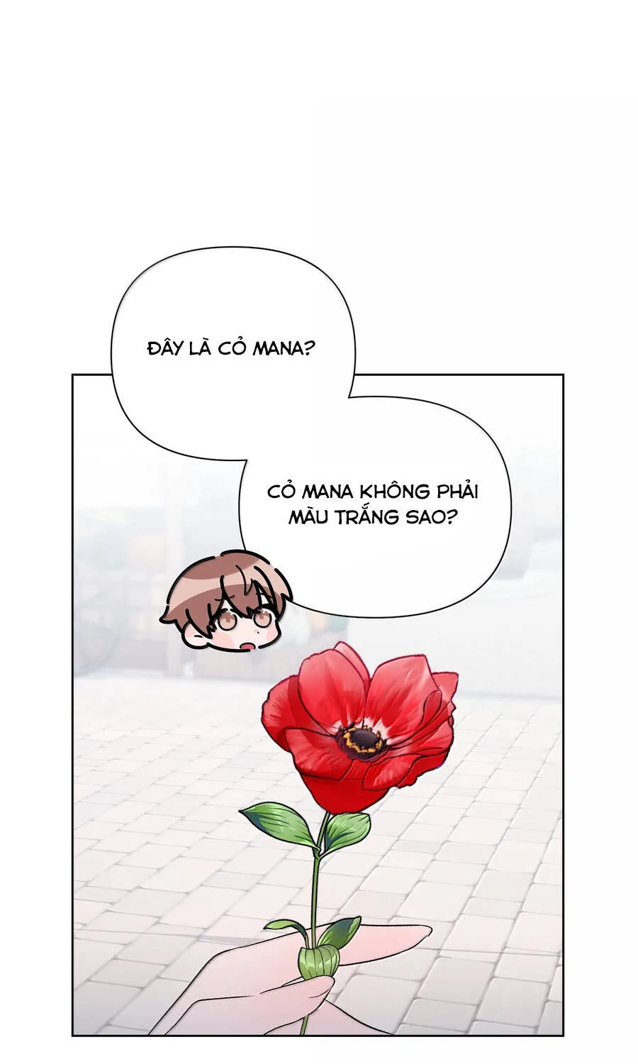 Mở Màn Xuyên Đôi: Lần Này Chúng Ta Thắng Chắc Rồi Chap 36 - Next Chap 37