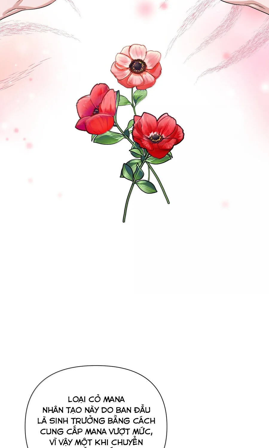 Mở Màn Xuyên Đôi: Lần Này Chúng Ta Thắng Chắc Rồi Chap 36 - Next Chap 37