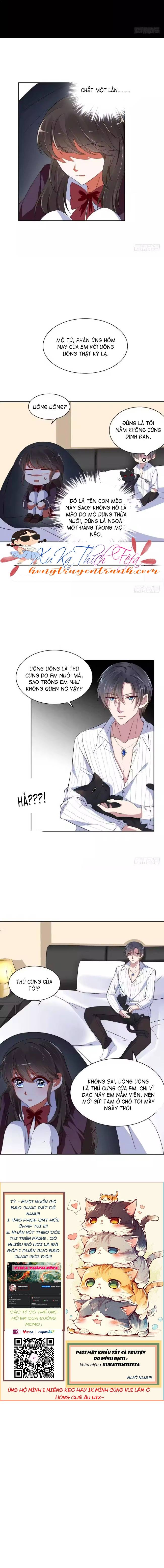 Mộ tổng hôm nay cưa được vợ chưa? Chap 9 - Next Chap 10