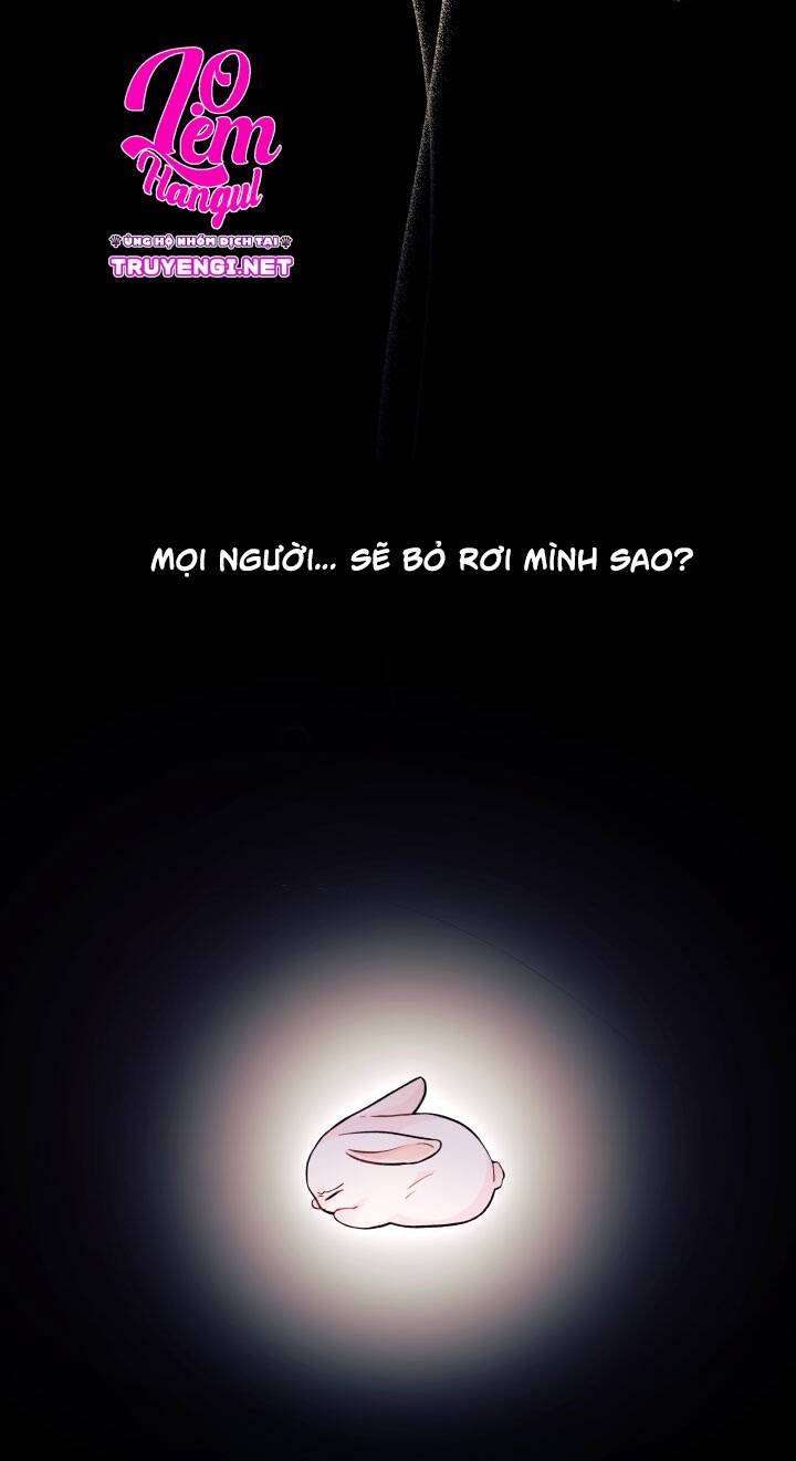 Mối Liên Kết Giữa Báo Đen Và Bé Thỏ Chap 1 - Next Chap 2