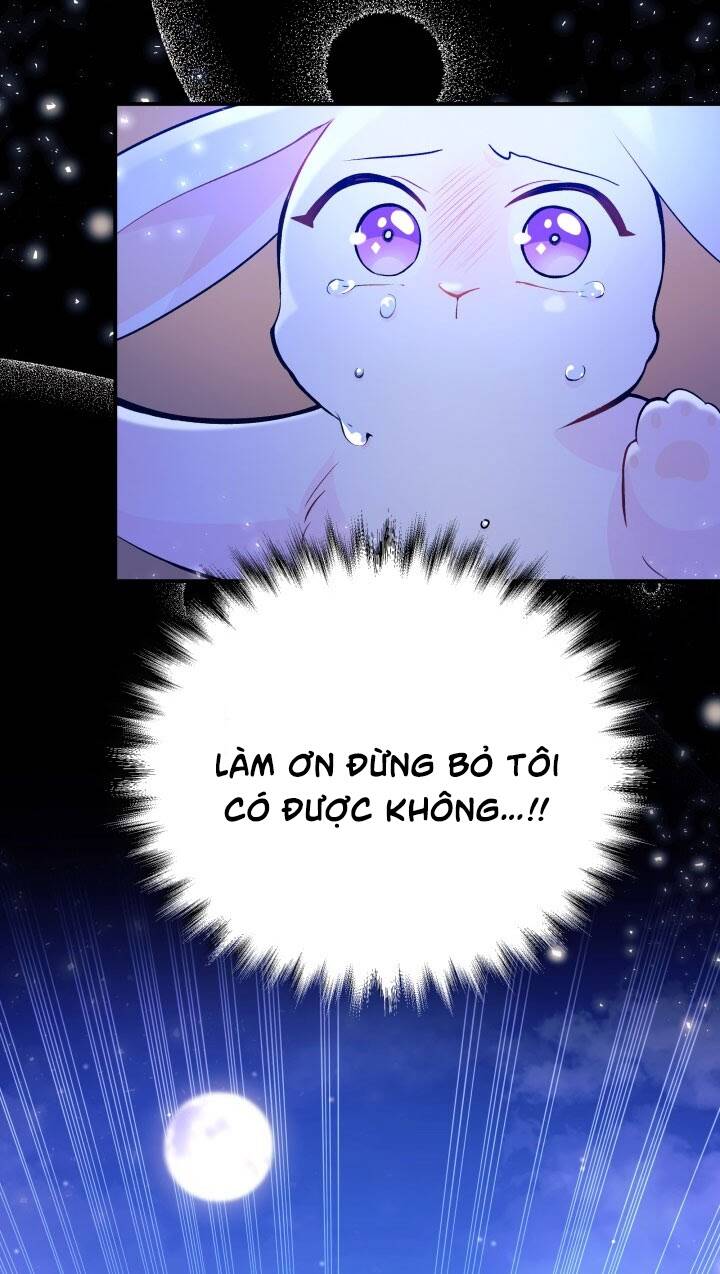 Mối Liên Kết Giữa Báo Đen Và Bé Thỏ Chap 1 - Next Chap 2