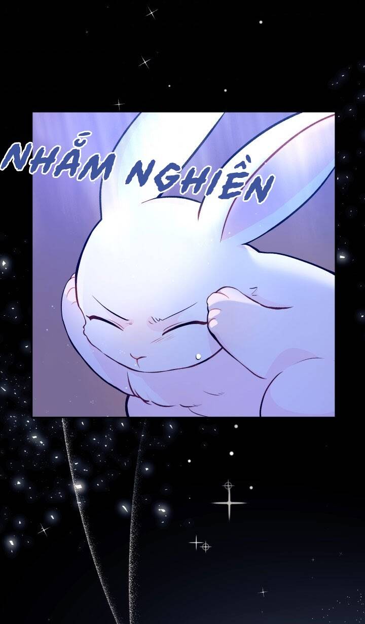 Mối Liên Kết Giữa Báo Đen Và Bé Thỏ Chap 1 - Next Chap 2