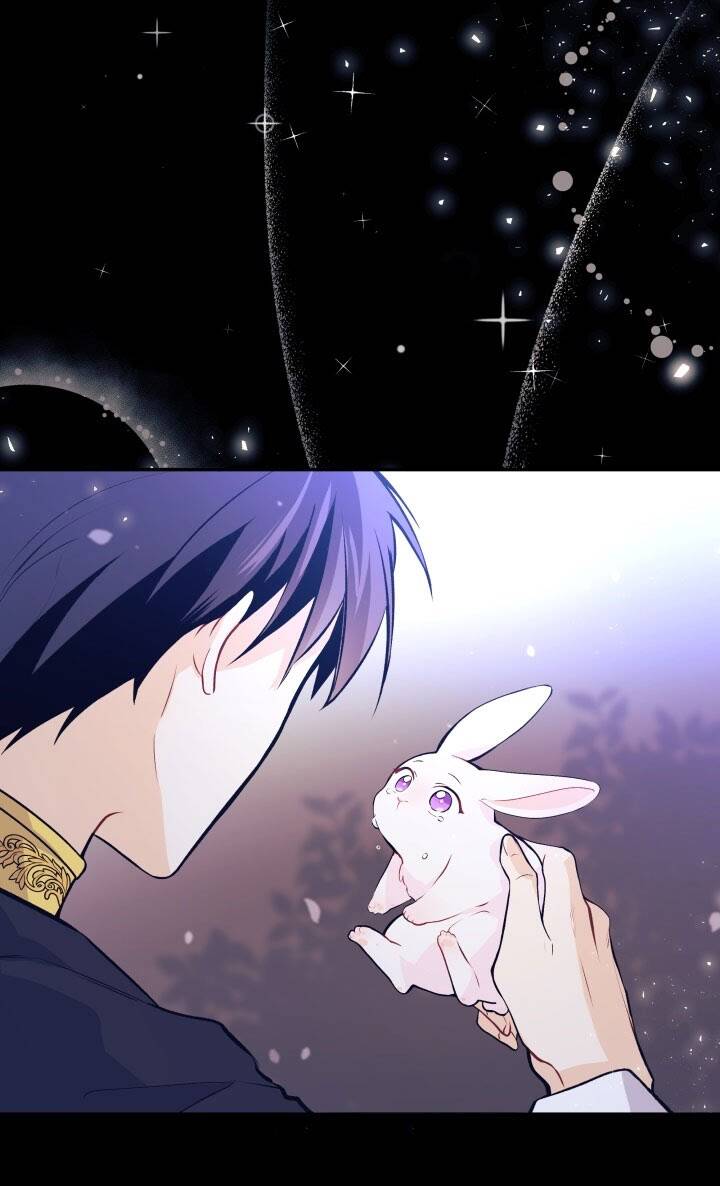 Mối Liên Kết Giữa Báo Đen Và Bé Thỏ Chap 1 - Next Chap 2