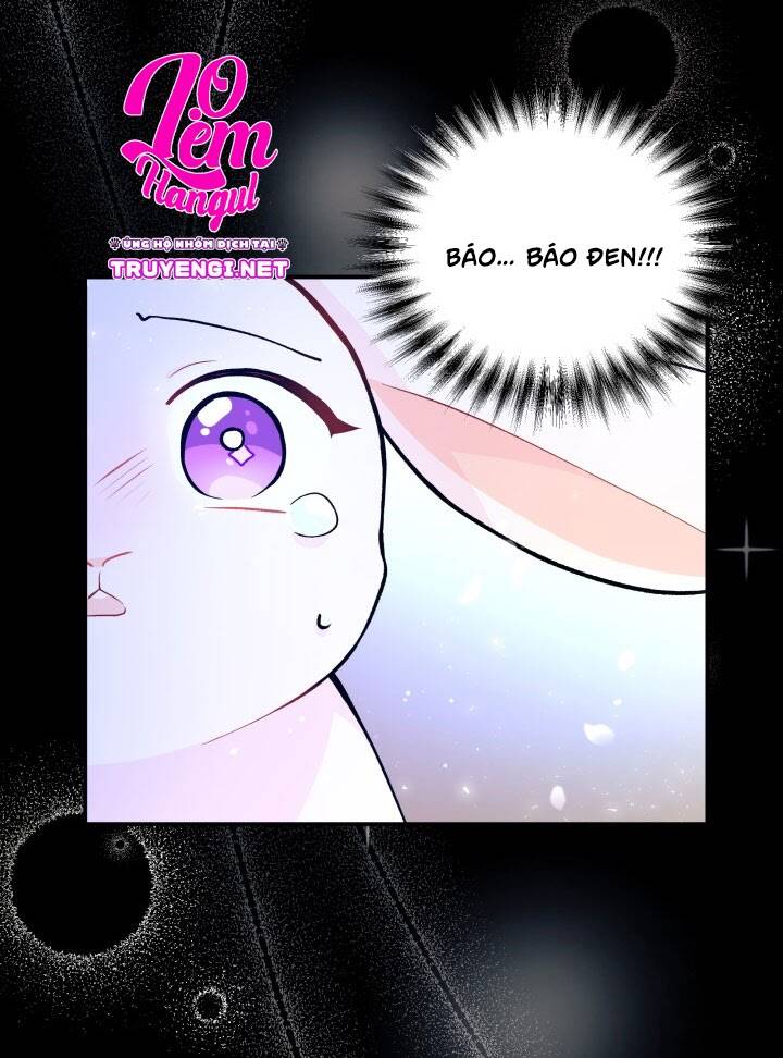 Mối Liên Kết Giữa Báo Đen Và Bé Thỏ Chap 1 - Next Chap 2