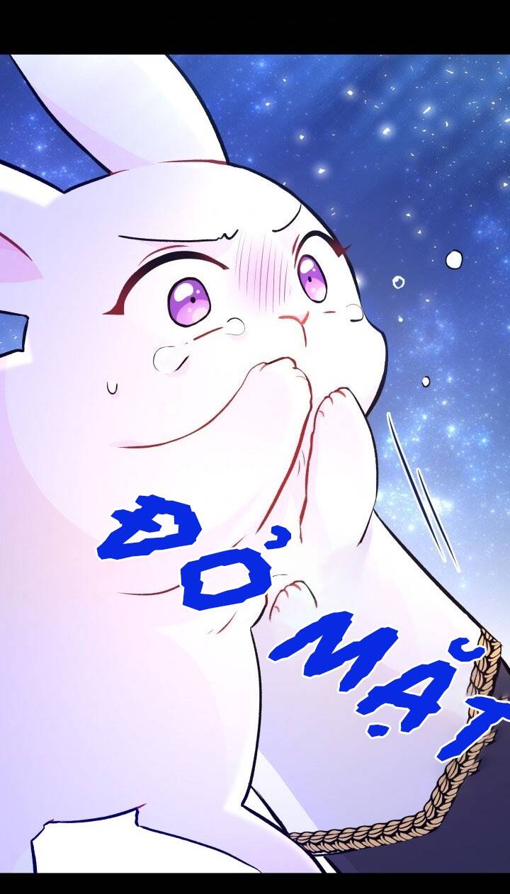 Mối Liên Kết Giữa Báo Đen Và Bé Thỏ Chap 1 - Next Chap 2