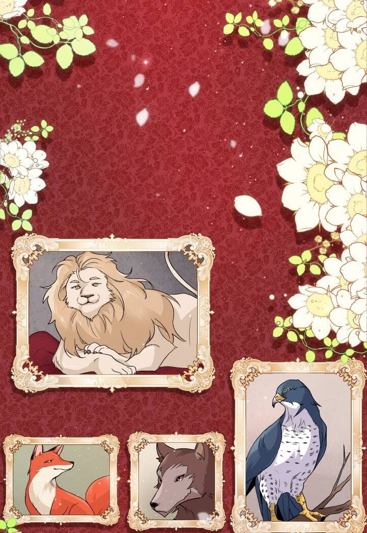 Mối Liên Kết Giữa Báo Đen Và Bé Thỏ Chap 1 - Next Chap 2