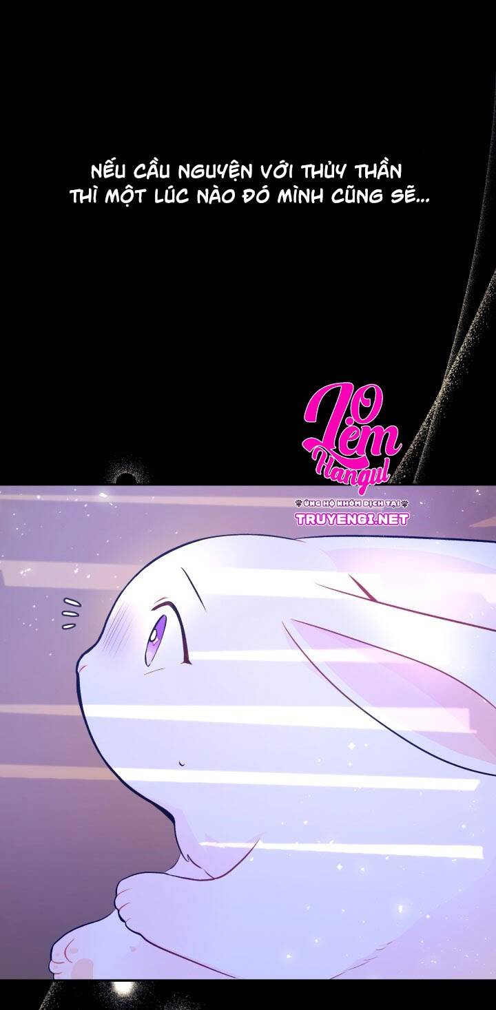 Mối Liên Kết Giữa Báo Đen Và Bé Thỏ Chap 1 - Next Chap 2