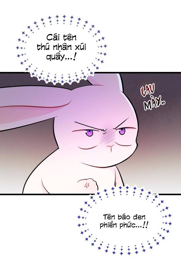 Mối Liên Kết Giữa Báo Đen Và Bé Thỏ Chap 10 - Next Chap 11