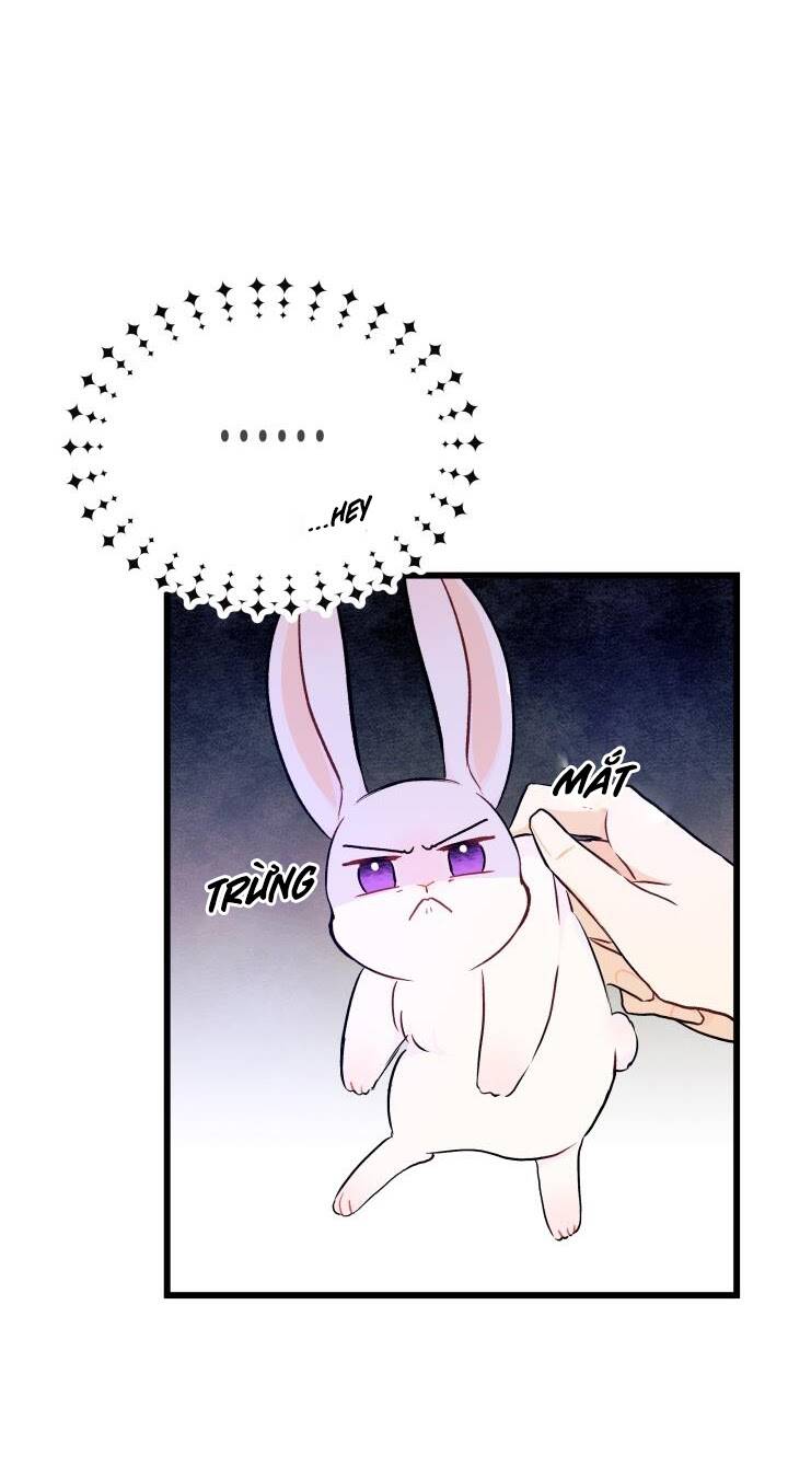Mối Liên Kết Giữa Báo Đen Và Bé Thỏ Chap 10 - Next Chap 11