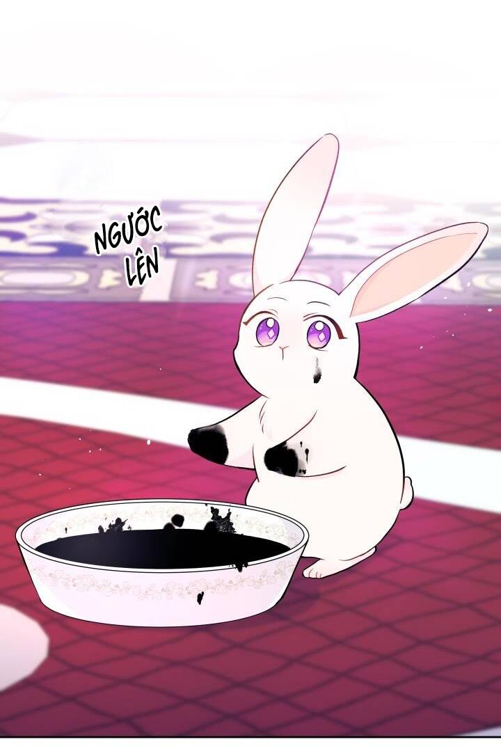 Mối Liên Kết Giữa Báo Đen Và Bé Thỏ Chap 10 - Next Chap 11