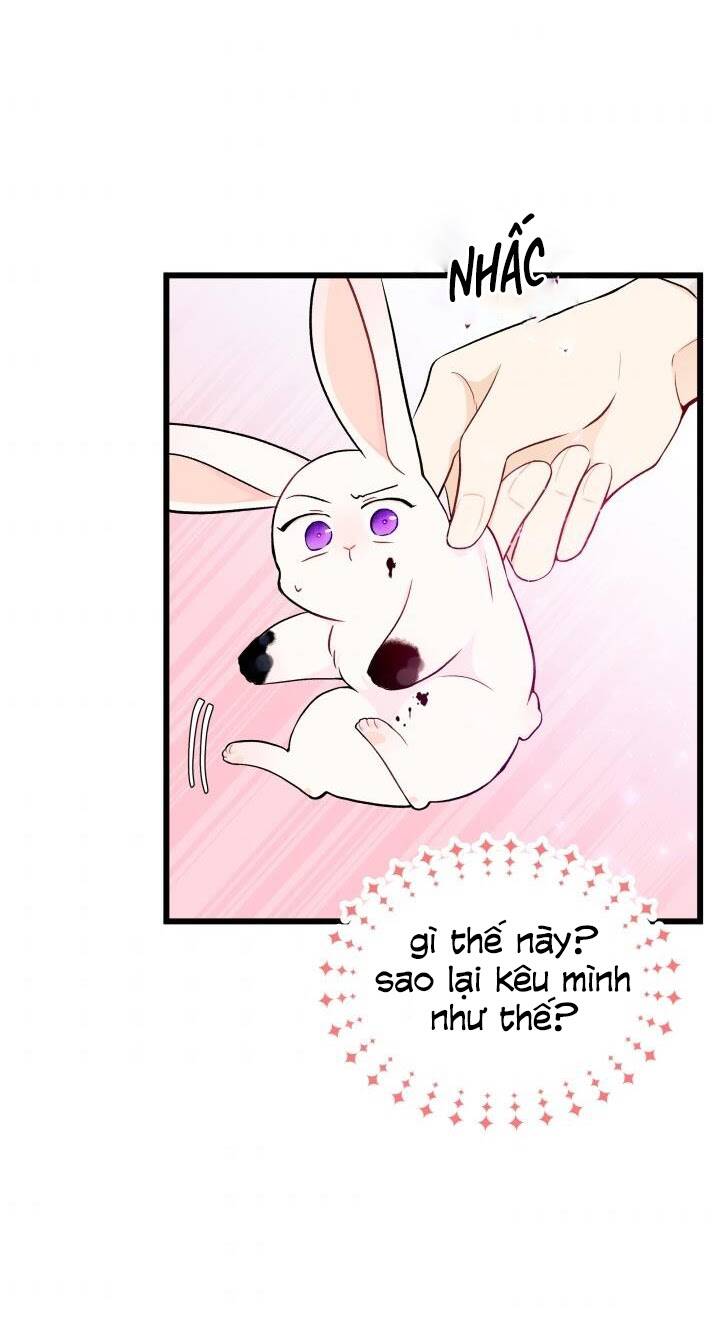 Mối Liên Kết Giữa Báo Đen Và Bé Thỏ Chap 10 - Next Chap 11