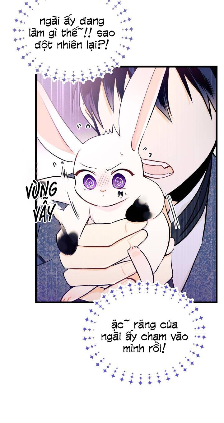 Mối Liên Kết Giữa Báo Đen Và Bé Thỏ Chap 10 - Next Chap 11
