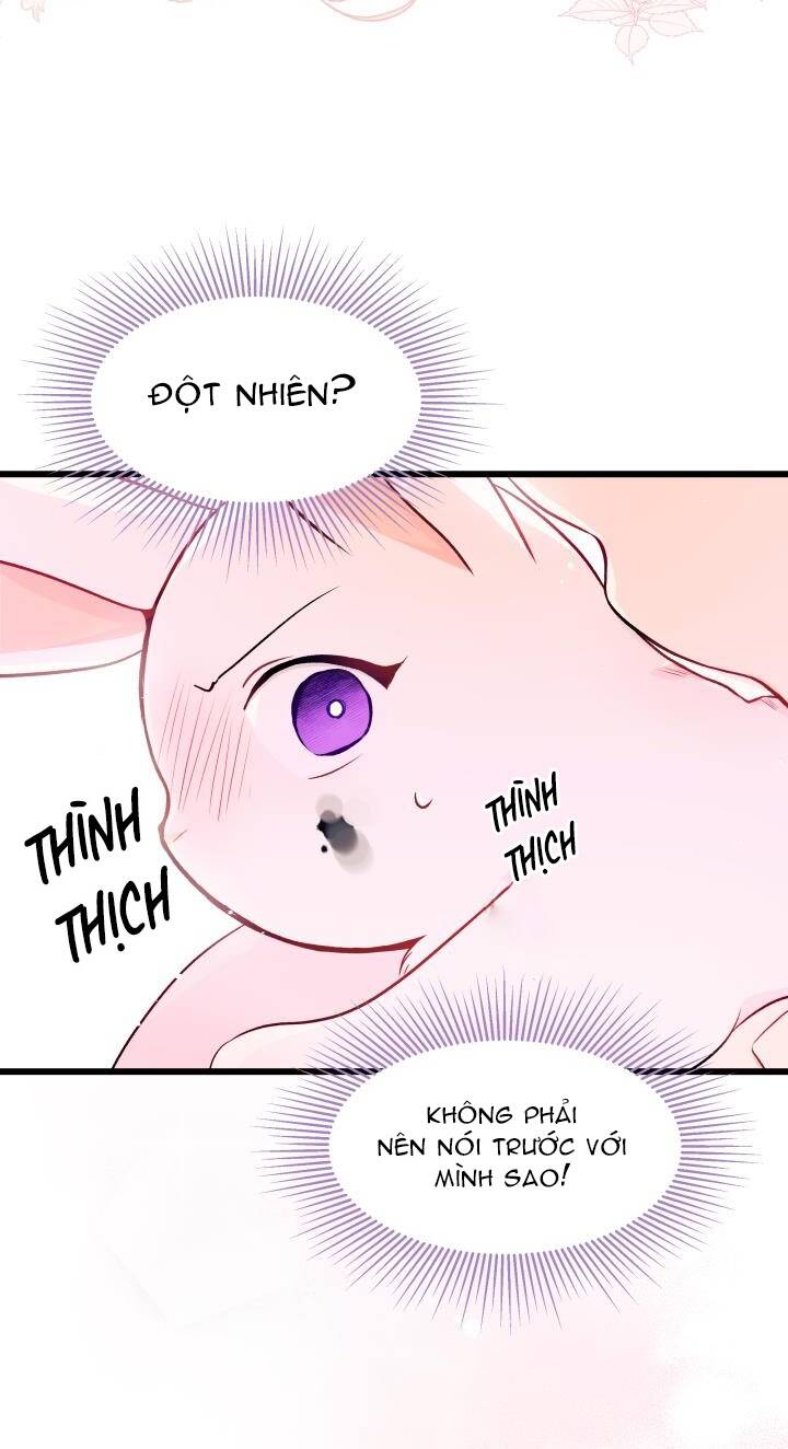 Mối Liên Kết Giữa Báo Đen Và Bé Thỏ Chap 10 - Next Chap 11