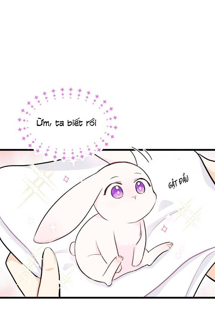 Mối Liên Kết Giữa Báo Đen Và Bé Thỏ Chap 10 - Next Chap 11