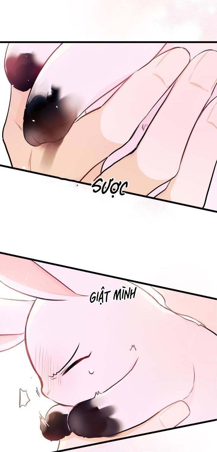 Mối Liên Kết Giữa Báo Đen Và Bé Thỏ Chap 10 - Next Chap 11