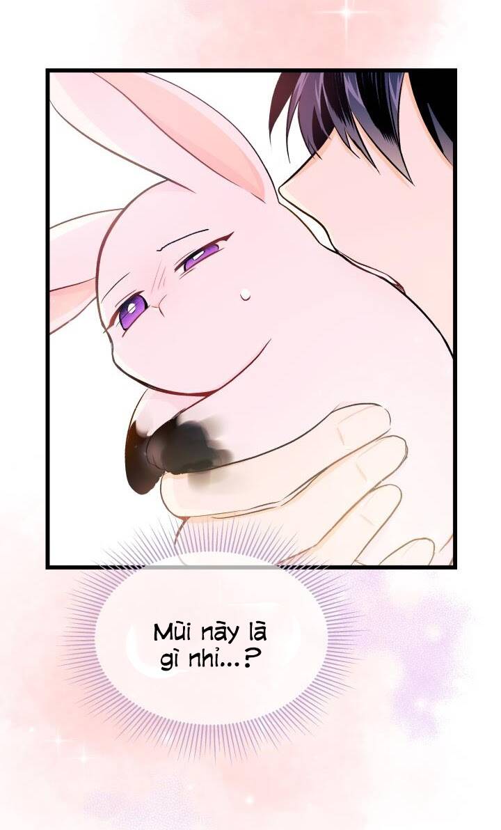 Mối Liên Kết Giữa Báo Đen Và Bé Thỏ Chap 10 - Next Chap 11