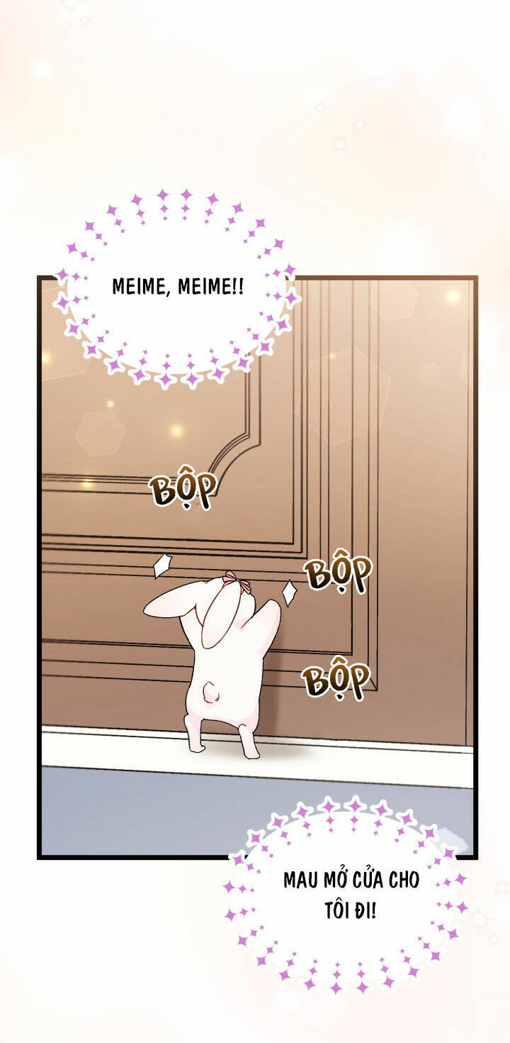 Mối Liên Kết Giữa Báo Đen Và Bé Thỏ Chap 101 - Next Chap 102