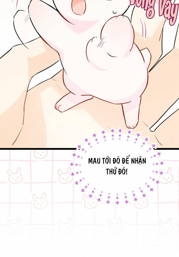 Mối Liên Kết Giữa Báo Đen Và Bé Thỏ Chap 101 - Next Chap 102