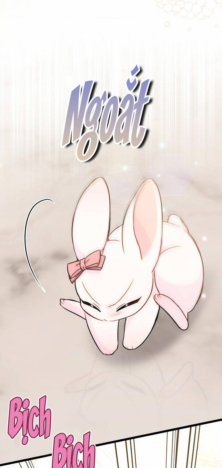 Mối Liên Kết Giữa Báo Đen Và Bé Thỏ Chap 101 - Next Chap 102